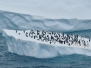 Antarctica 2020