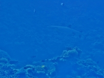 20151023_231850000_iOS