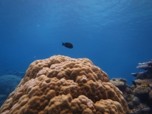 20151024_011123000_iOS