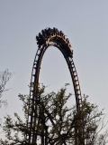 20250409_191426