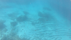 GH011692_1759602076411