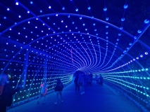 20221120_180108