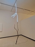 20260812_113941